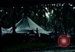 Standbild Brutplätze für Moskitos im Pazifik während des Weltkrieges II Pacific Theater, 1944, aus Sekunde 1 historischem Filmmaterial Videoclip 65675077566