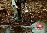 Standbild Brutplätze für Moskitos im Pazifik während des Weltkrieges II Pacific Theater, 1944, aus Sekunde 9 historischem Filmmaterial Videoclip 65675077566