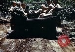 Standbild Brutplätze für Moskitos im Pazifik während des Weltkrieges II Pacific Theater, 1944, aus Sekunde 15 historischem Filmmaterial Videoclip 65675077566
