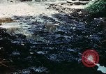 Standbild Brutplätze für Moskitos im Pazifik während des Weltkrieges II Pacific Theater, 1944, aus Sekunde 30 historischem Filmmaterial Videoclip 65675077566