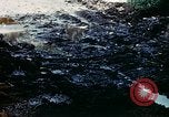 Standbild Brutplätze für Moskitos im Pazifik während des Weltkrieges II Pacific Theater, 1944, aus Sekunde 31 historischem Filmmaterial Videoclip 65675077566
