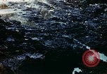 Standbild Brutplätze für Moskitos im Pazifik während des Weltkrieges II Pacific Theater, 1944, aus Sekunde 35 historischem Filmmaterial Videoclip 65675077566