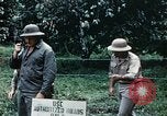 Standbild Brutplätze für Moskitos im Pazifik während des Weltkrieges II Pacific Theater, 1944, aus Sekunde 53 historischem Filmmaterial Videoclip 65675077566