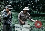 Standbild Brutplätze für Moskitos im Pazifik während des Weltkrieges II Pacific Theater, 1944, aus Sekunde 55 historischem Filmmaterial Videoclip 65675077566