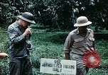 Standbild Brutplätze für Moskitos im Pazifik während des Weltkrieges II Pacific Theater, 1944, aus Sekunde 56 historischem Filmmaterial Videoclip 65675077566