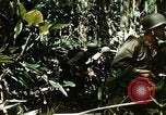 Standbild Brutplätze für Moskitos im Pazifik während des Weltkrieges II Pacific Theater, 1944, aus Sekunde 59 historischem Filmmaterial Videoclip 65675077566