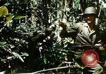 Standbild Brutplätze für Moskitos im Pazifik während des Weltkrieges II Pacific Theater, 1944, aus Sekunde 60 historischem Filmmaterial Videoclip 65675077566