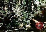 Standbild Brutplätze für Moskitos im Pazifik während des Weltkrieges II Pacific Theater, 1944, aus Sekunde 61 historischem Filmmaterial Videoclip 65675077566