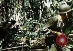 Standbild Brutplätze für Moskitos im Pazifik während des Weltkrieges II Pacific Theater, 1944, aus Sekunde 62 historischem Filmmaterial Videoclip 65675077566