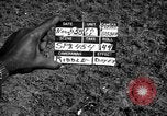 Image of Nike missile Taipei Taiwan, 1958, second 3 stock footage video 65675077574