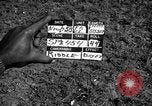 Image of Nike missile Taipei Taiwan, 1958, second 4 stock footage video 65675077574
