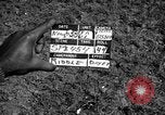 Image of Nike missile Taipei Taiwan, 1958, second 7 stock footage video 65675077574