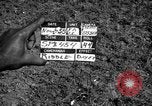 Image of Nike missile Taipei Taiwan, 1958, second 9 stock footage video 65675077574