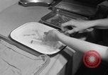 Standbild Amerikanisches Rotes Kreuz Taiwan, 1958, aus Sekunde 13 historischem Filmmaterial Videoclip 65675077581
