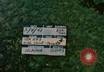Image of Nike missile Taiwan, 1961, second 3 stock footage video 65675077585
