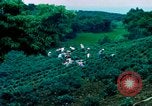 Image of Chinese woman Taiwan, 1961, second 6 stock footage video 65675077586