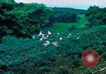 Image of Chinese woman Taiwan, 1961, second 8 stock footage video 65675077586