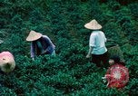 Image of Chinese woman Taiwan, 1961, second 19 stock footage video 65675077586