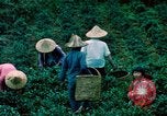 Image of Chinese woman Taiwan, 1961, second 21 stock footage video 65675077586