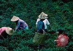 Image of Chinese woman Taiwan, 1961, second 22 stock footage video 65675077586