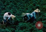 Image of Chinese woman Taiwan, 1961, second 23 stock footage video 65675077586