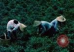 Image of Chinese woman Taiwan, 1961, second 24 stock footage video 65675077586