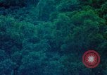 Image of Chinese woman Taiwan, 1961, second 30 stock footage video 65675077586