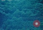 Image of Chinese woman Taiwan, 1961, second 32 stock footage video 65675077586