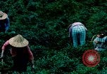 Image of Chinese woman Taiwan, 1961, second 37 stock footage video 65675077586
