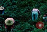Image of Chinese woman Taiwan, 1961, second 38 stock footage video 65675077586