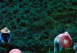 Image of Chinese woman Taiwan, 1961, second 39 stock footage video 65675077586