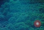 Image of Chinese woman Taiwan, 1961, second 42 stock footage video 65675077586