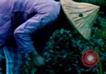Image of Chinese woman Taiwan, 1961, second 55 stock footage video 65675077586