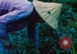 Image of Chinese woman Taiwan, 1961, second 56 stock footage video 65675077586