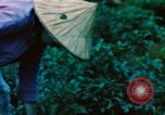 Image of Chinese woman Taiwan, 1961, second 57 stock footage video 65675077586