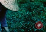 Image of Chinese woman Taiwan, 1961, second 58 stock footage video 65675077586
