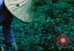 Image of Chinese woman Taiwan, 1961, second 59 stock footage video 65675077586
