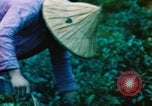 Image of Chinese woman Taiwan, 1961, second 60 stock footage video 65675077586