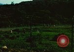 Image of Nike-Hercules missile Taiwan, 1961, second 57 stock footage video 65675077590