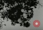 Standbild DEUTSCH A-4 Rakete Peenemunde Deutschland, 1944, aus Sekunde 17 historischem Filmmaterial Videoclip 65675077622
