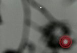 Standbild DEUTSCH A-4 Rakete Peenemunde Deutschland, 1944, aus Sekunde 25 historischem Filmmaterial Videoclip 65675077637
