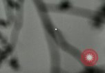 Standbild DEUTSCH A-4 Rakete Peenemunde Deutschland, 1944, aus Sekunde 26 historischem Filmmaterial Videoclip 65675077637