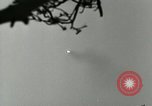 Image of German A-4 missile test Peenemunde Germany, 1944, second 19 stock footage video 65675077644