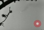 Image of German A-4 missile test Peenemunde Germany, 1944, second 24 stock footage video 65675077644