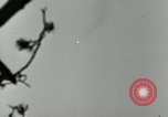 Image of German A-4 missile test Peenemunde Germany, 1944, second 26 stock footage video 65675077644