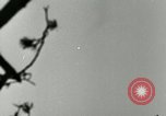 Image of German A-4 missile test Peenemunde Germany, 1944, second 27 stock footage video 65675077644
