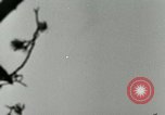 Image of German A-4 missile test Peenemunde Germany, 1944, second 28 stock footage video 65675077644