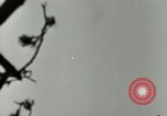Image of German A-4 missile test Peenemunde Germany, 1944, second 29 stock footage video 65675077644