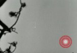 Image of German A-4 missile test Peenemunde Germany, 1944, second 30 stock footage video 65675077644
