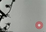 Image of German A-4 missile test Peenemunde Germany, 1944, second 31 stock footage video 65675077644